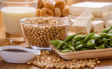 Östrojen İçeren Bitkiler Nelerdir?